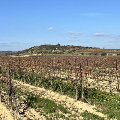 Occitanie Rando Randonnee Herault Abeilhan Thongue 23