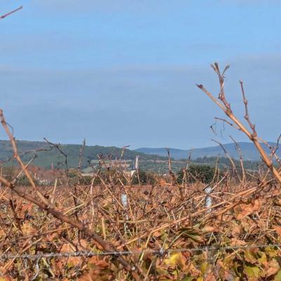 Occitanie Rando Randonnee Herault Abeilhan Thongue 29