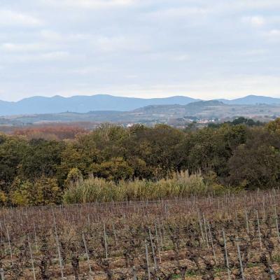 Occitanie Rando Randonnee Herault Abeilhan Thongue 31