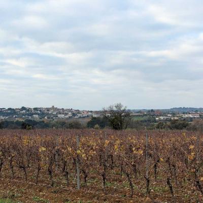 Occitanie Rando Randonnee Herault Abeilhan Thongue 36