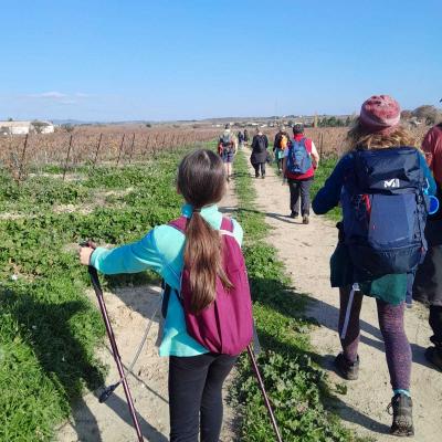 Occitanie Rando Randonnee Herault Abeilhan Thongue 38