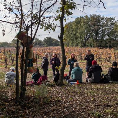 Occitanie Rando Randonnee Herault Abeilhan Thongue 46