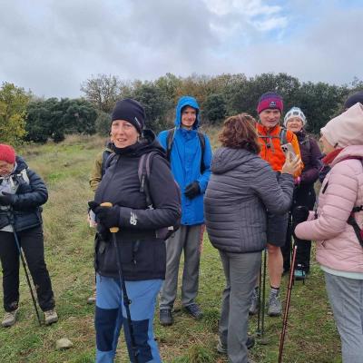 Occitanie Rando Rando Herault Plateau Cayroux Le Puech 03
