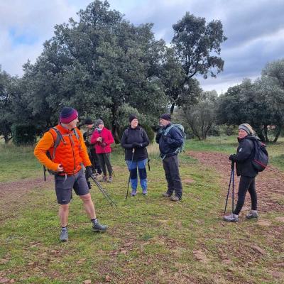 Occitanie Rando Rando Herault Plateau Cayroux Le Puech 20
