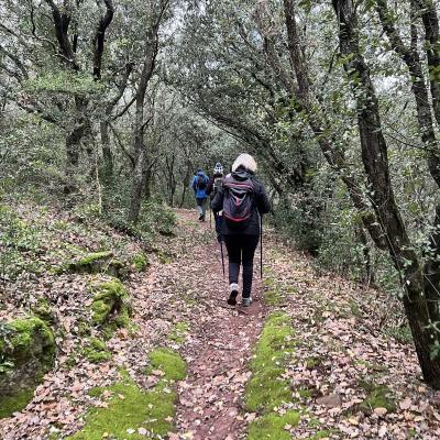 Occitanie Rando Rando Herault Plateau Cayroux Le Puech 26
