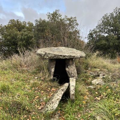 Occitanie Rando Rando Herault Plateau Cayroux Le Puech 39