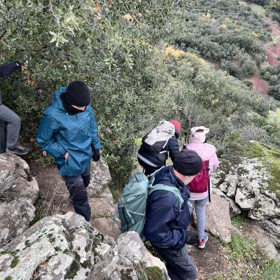 Occitanie Rando Rando Herault Plateau Cayroux Le Puech 48