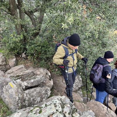 Occitanie Rando Rando Herault Plateau Cayroux Le Puech 52