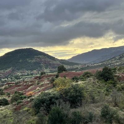Occitanie Rando Rando Herault Plateau Cayroux Le Puech 73