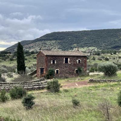 Occitanie Rando Rando Herault Plateau Cayroux Le Puech 74