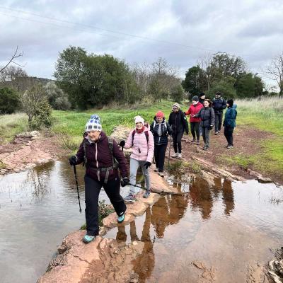 Occitanie Rando Rando Herault Plateau Cayroux Le Puech 78