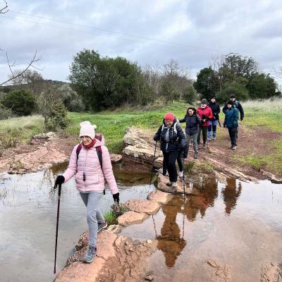 Occitanie Rando Rando Herault Plateau Cayroux Le Puech 79