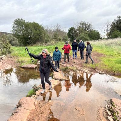 Occitanie Rando Rando Herault Plateau Cayroux Le Puech 80