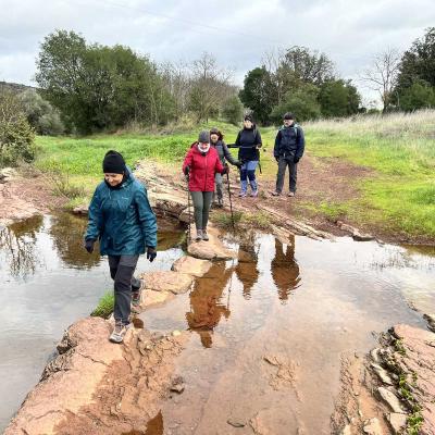 Occitanie Rando Rando Herault Plateau Cayroux Le Puech 82