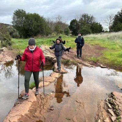 Occitanie Rando Rando Herault Plateau Cayroux Le Puech 83