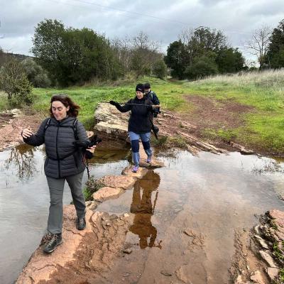 Occitanie Rando Rando Herault Plateau Cayroux Le Puech 84