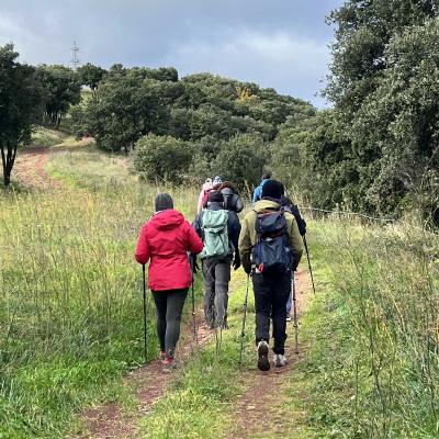 Occitanie Rando Rando Herault Plateau Cayroux Le Puech 92
