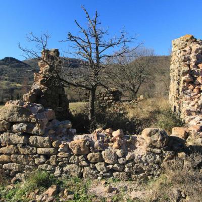 Occitanie Rando Randonnee Herault Brenas Les Ruffes 05