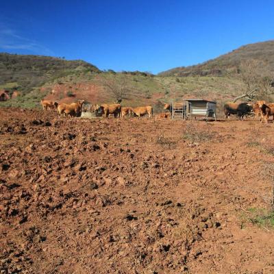 Occitanie Rando Randonnee Herault Brenas Les Ruffes 08