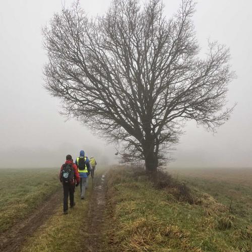 Occitanie Rando Rando Herault Heras Lergue Roqueredonde 08
