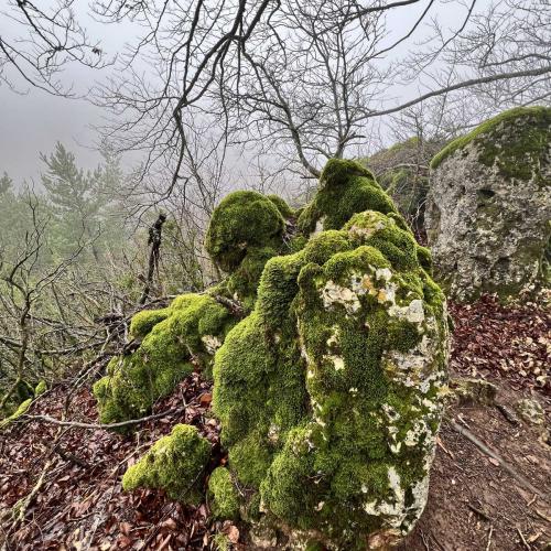 Occitanie Rando Rando Herault Heras Lergue Roqueredonde 47