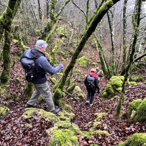 Occitanie Rando Rando Herault Heras Lergue Roqueredonde 62
