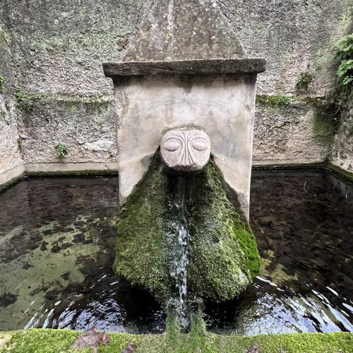 Occitanie Rando Initiation Trekking Peyre Martine St Jean De Bueges 01