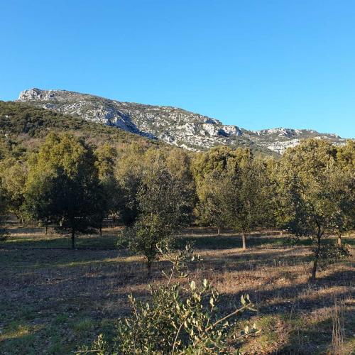 Occitanie Rando Initiation Trekking Peyre Martine St Jean De Bueges 87