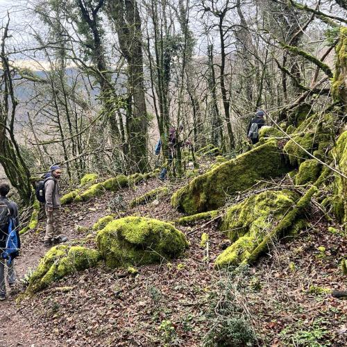 Occitanie Rando Randonnee Lauroux Corniche Foret Escandorgue 01