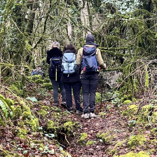 Occitanie Rando Randonnee Lauroux Corniche Foret Escandorgue 02