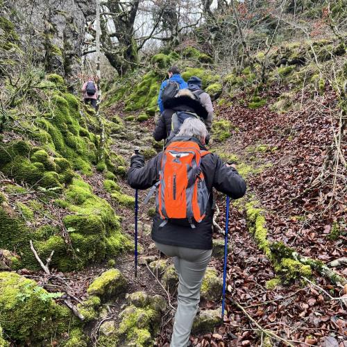 Occitanie Rando Randonnee Lauroux Corniche Foret Escandorgue 12