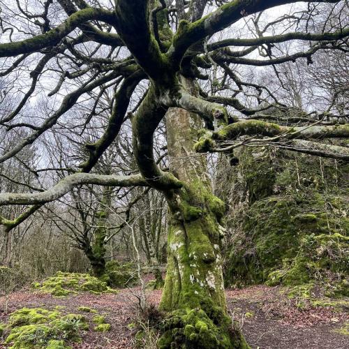 Occitanie Rando Randonnee Lauroux Corniche Foret Escandorgue 13