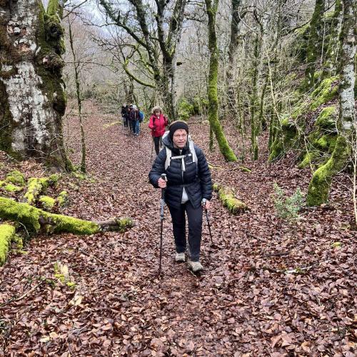 Occitanie Rando Randonnee Lauroux Corniche Foret Escandorgue 17