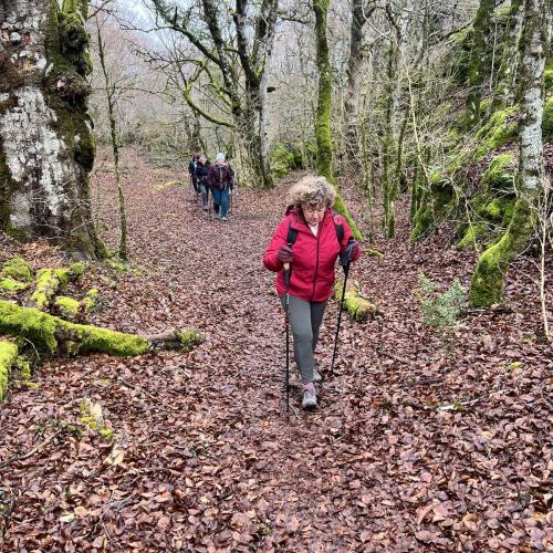 Occitanie Rando Randonnee Lauroux Corniche Foret Escandorgue 18