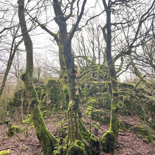 Occitanie Rando Randonnee Lauroux Corniche Foret Escandorgue 28