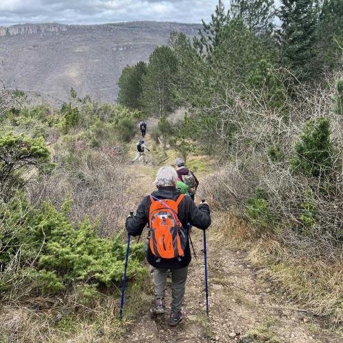 Occitanie Rando Randonnee Lauroux Corniche Foret Escandorgue 29