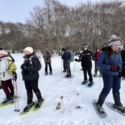 Occitanie Rando Randonnee Raquettes Laguiole Aubrac La Maison Top 105