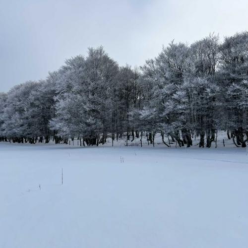 Occitanie Rando Randonnee Raquettes Laguiole Aubrac La Maison Top 119