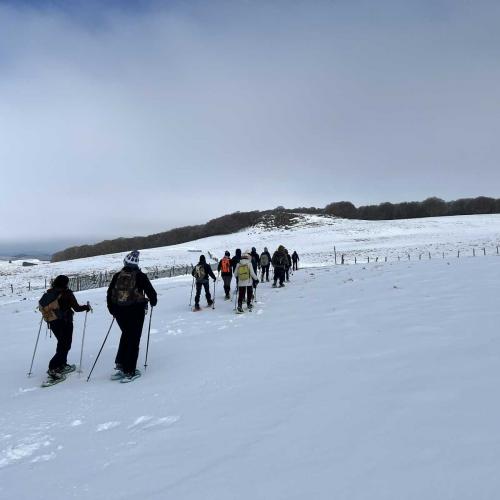 Occitanie Rando Randonnee Raquettes Laguiole Aubrac La Maison Top 120