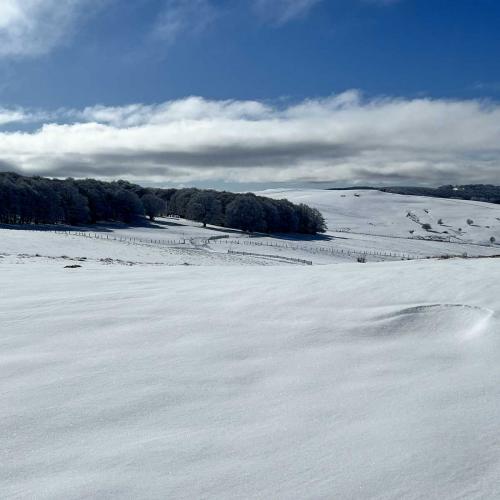 Occitanie Rando Randonnee Raquettes Laguiole Aubrac La Maison Top 123