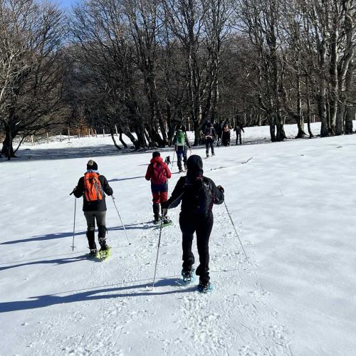 Occitanie Rando Randonnee Raquettes Laguiole Aubrac La Maison Top 124