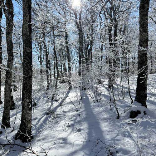 Occitanie Rando Randonnee Raquettes Laguiole Aubrac La Maison Top 130