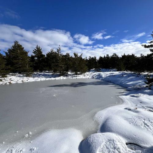Occitanie Rando Randonnee Raquettes Laguiole Aubrac La Maison Top 134