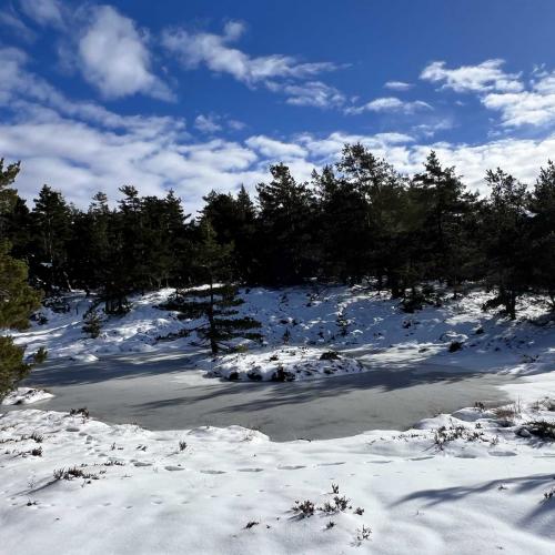 Occitanie Rando Randonnee Raquettes Laguiole Aubrac La Maison Top 136