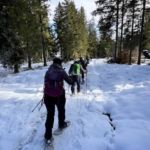 Occitanie Rando Randonnee Raquettes Laguiole Aubrac La Maison Top 138