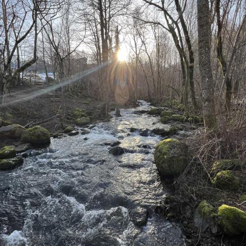 Occitanie Rando Randonnee Raquettes Laguiole Aubrac La Maison Top 167
