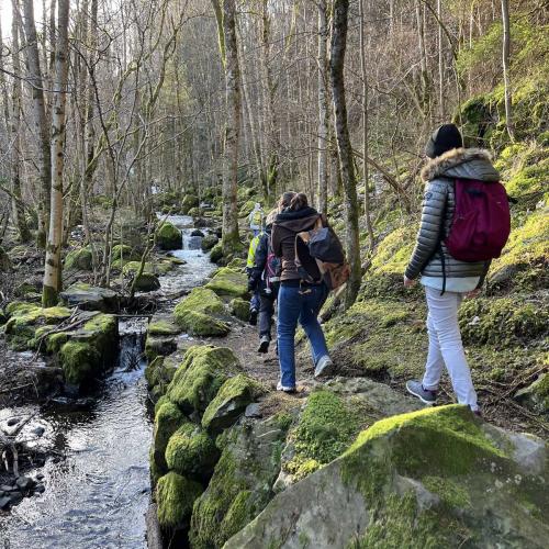 Occitanie Rando Randonnee Raquettes Laguiole Aubrac La Maison Top 169