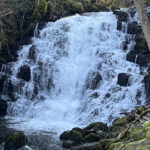 Occitanie Rando Randonnee Raquettes Laguiole Aubrac La Maison Top 177