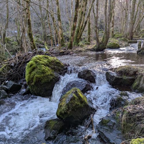 Occitanie Rando Randonnee Raquettes Laguiole Aubrac La Maison Top 218