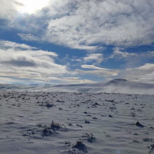 Occitanie Rando Randonnee Raquettes Laguiole Aubrac La Maison Top 262